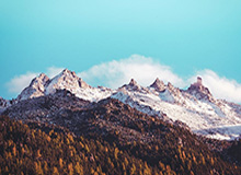 NBA-伦纳德空砍25+8墨菲23分 快船不敌鹈鹕